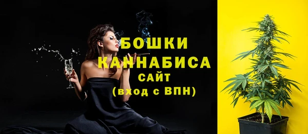 гашик Майский