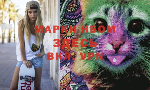 прущая мука Вяземский