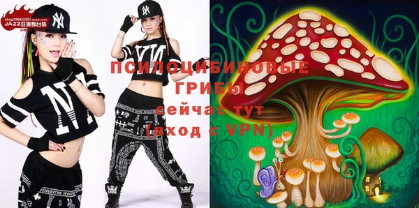 гашик Майский
