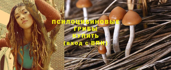 гашик Майский