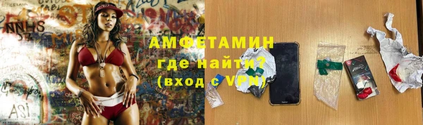 гашик Майский